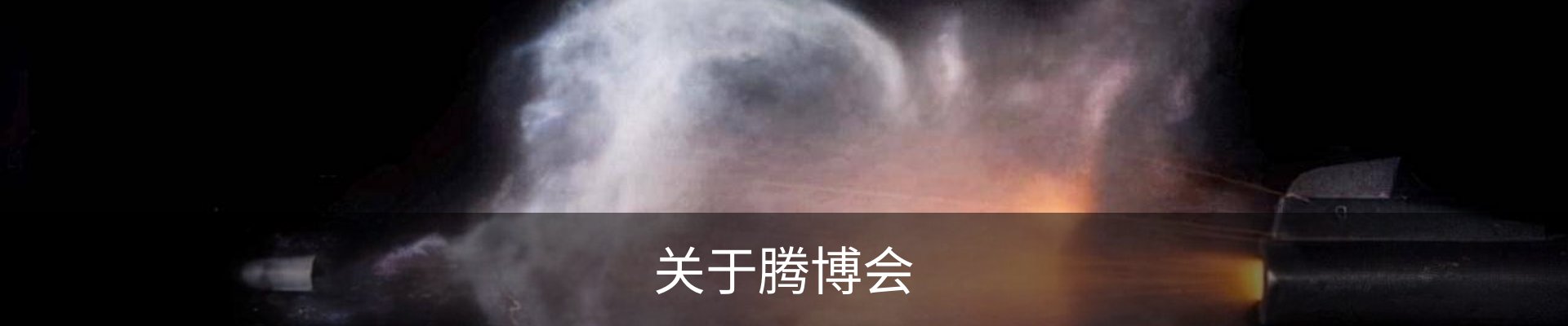 关于腾博会