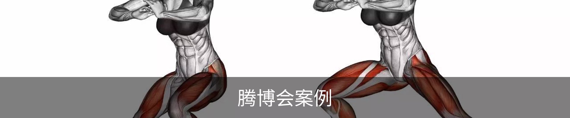 腾博会案例